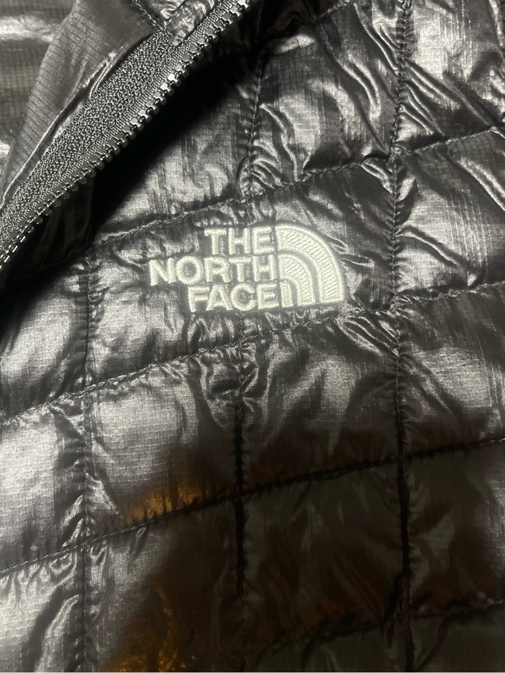 The North Face Black Women's Lightweight Jacket